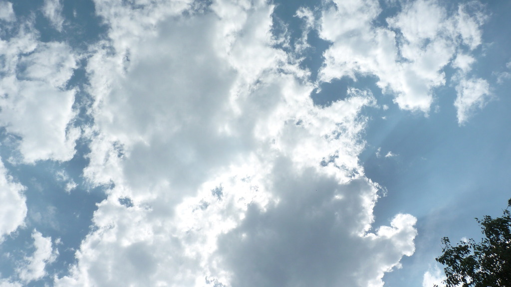 No s'ha trobat l'arxiu